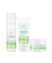 Wella-Professionals-Elements-Kit-Manutencao-3produtos
