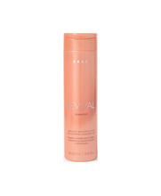 brae-revival-shampoo-250ml
