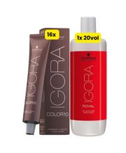 Schwarzkopf-Igora-Color10-16x-6-0-Louro-Escuro--1-Ox-20v-lt